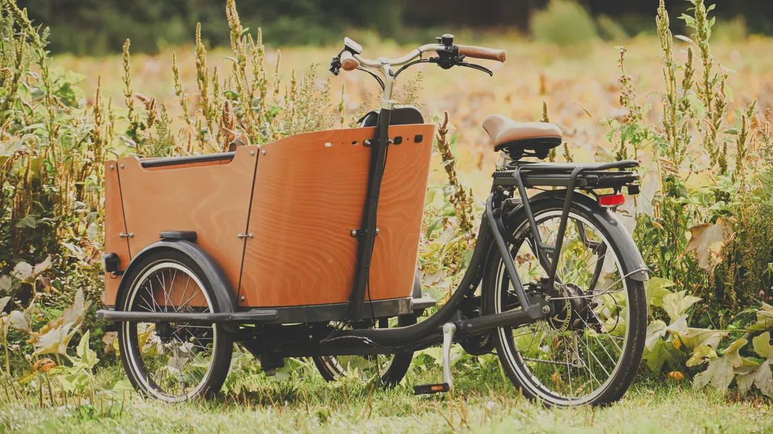 Le triporteur est une solution pour transporter des charges lourdes ou ses enfants à vélo